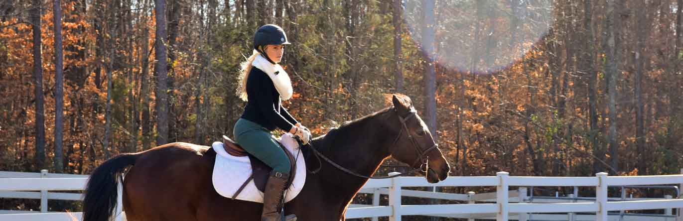 Services at Chapelgate Farm, Matthews, North Carolina