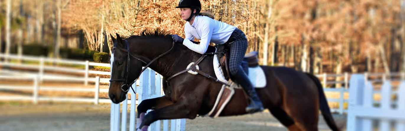 Training/Riding at Chapelgate Farm, Matthews, North Carolina